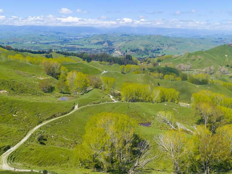 6900 State Highway 1 Mangaweka_13