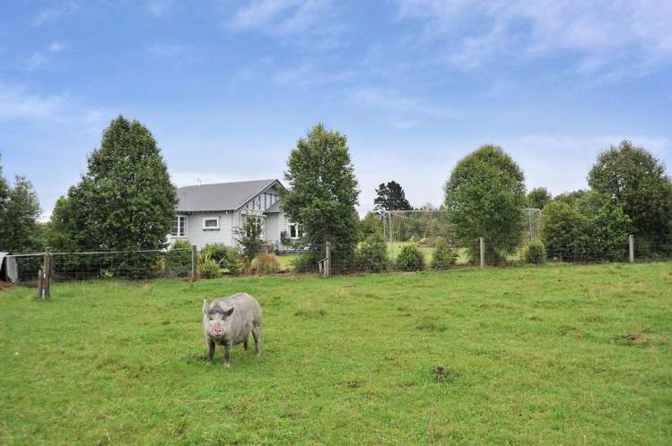 245 Beatties Road Ashley_31