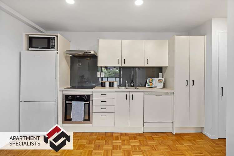 250 Richmond Road Grey Lynn_11