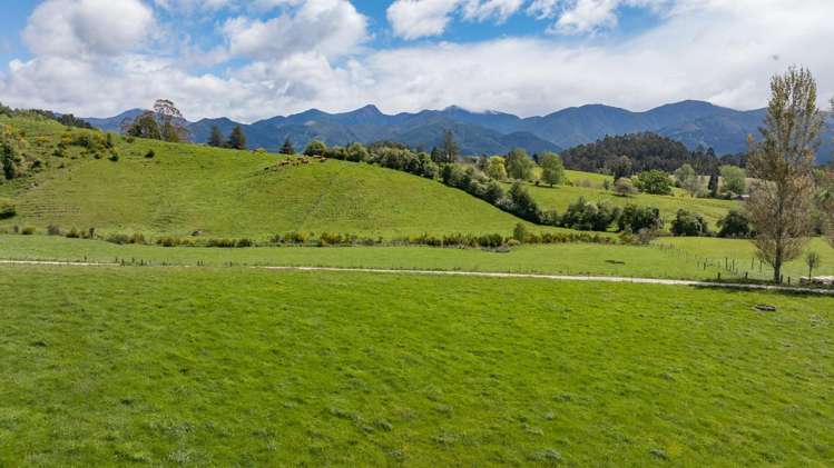 98 Thorpe-Orinoco Road Ngatimoti_17