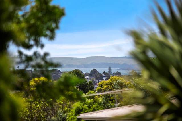 1/339 Wairau Road Totara Vale_3