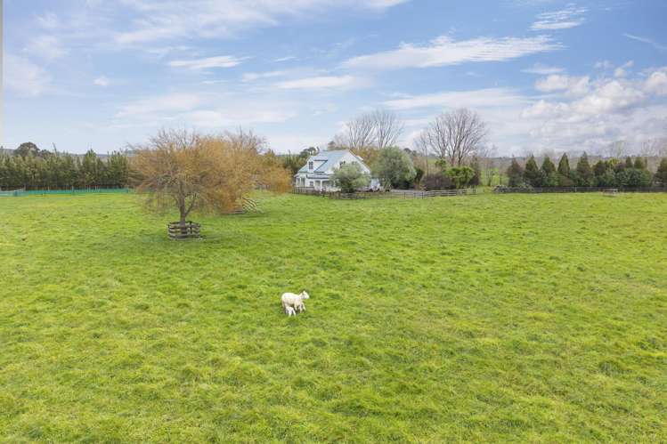 2179 State Highway 16 Helensville_27
