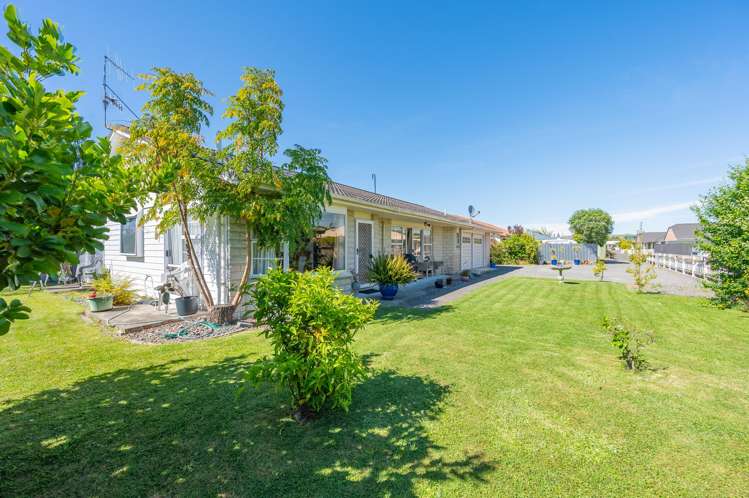 117 Auckland Road Greenmeadows_0