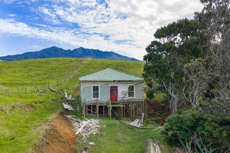 62 Cornes Road Raglan_6