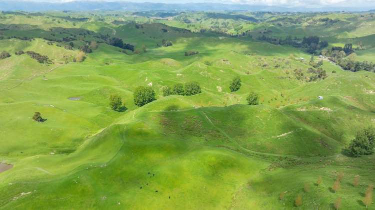 1163 Mangamako Road Ohingaiti_11