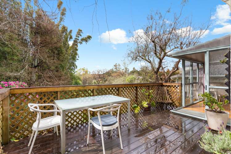 16 Aplin Place Birkdale_12