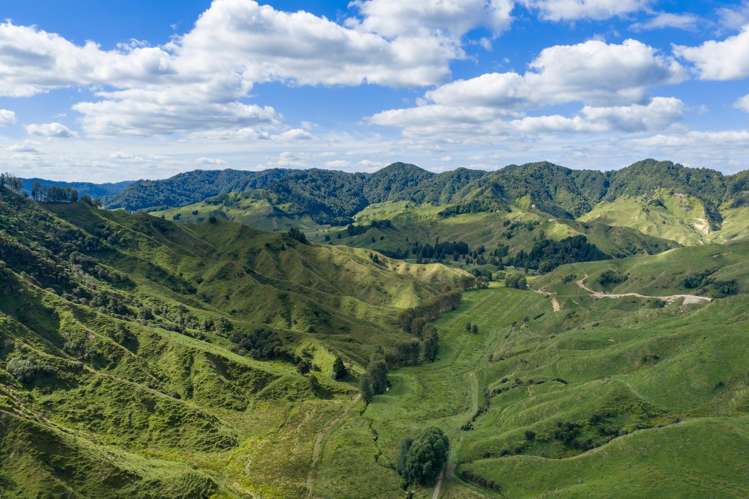 1221 Waitewhena Road Taumarunui_25