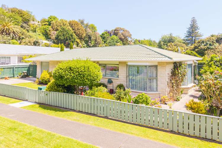 3a Gerse Street Wanganui East_18