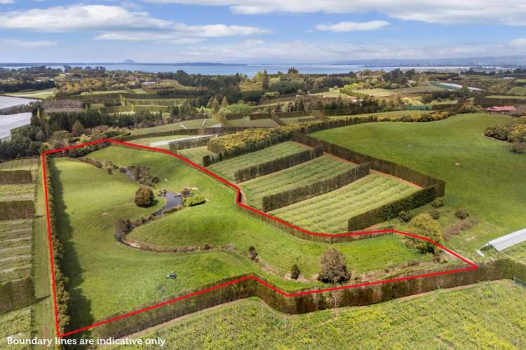 22B Noron Place Katikati_0