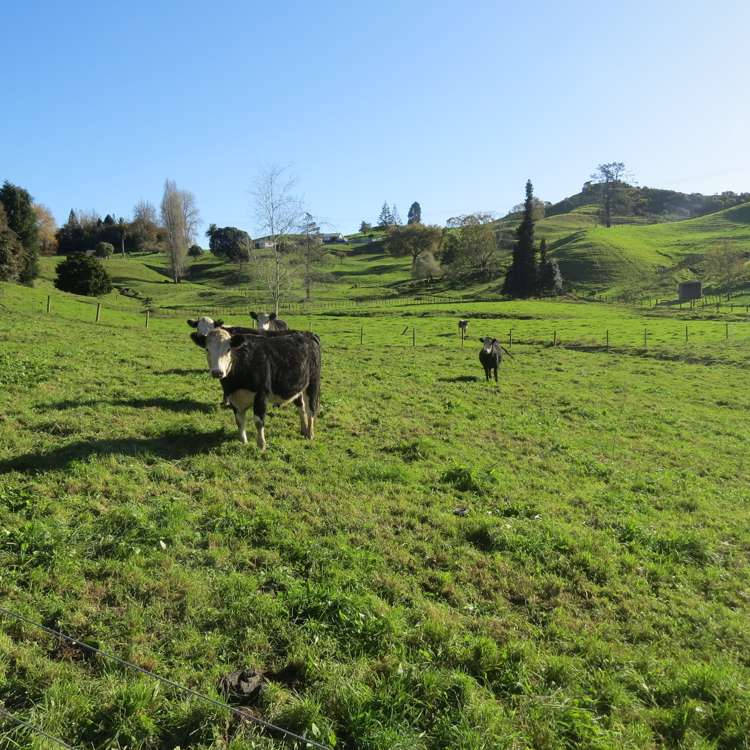 1370 State Highway 3 Te Kuiti_21