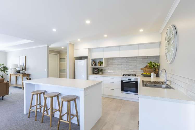 175A Carrington Street Lower Vogeltown_14