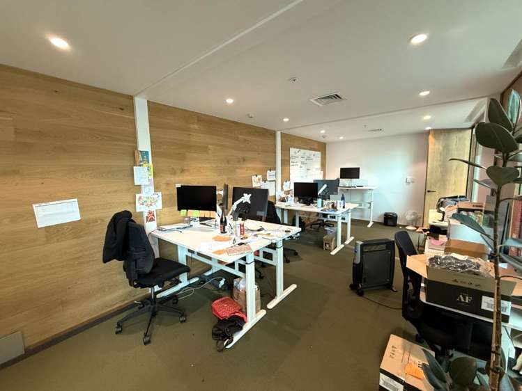 5 Crummer Road Grey Lynn_1