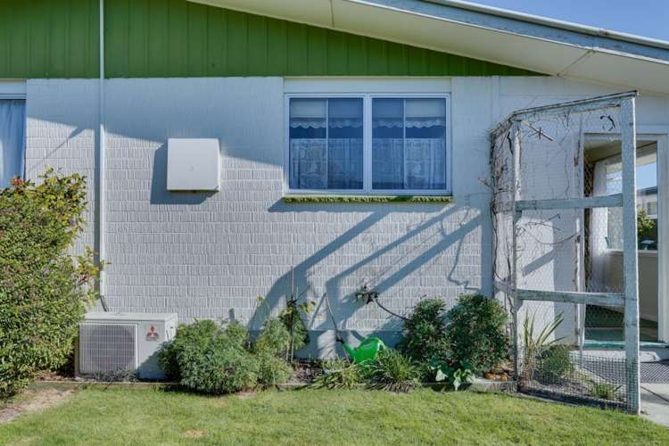 1 Owen Place Springlands_14