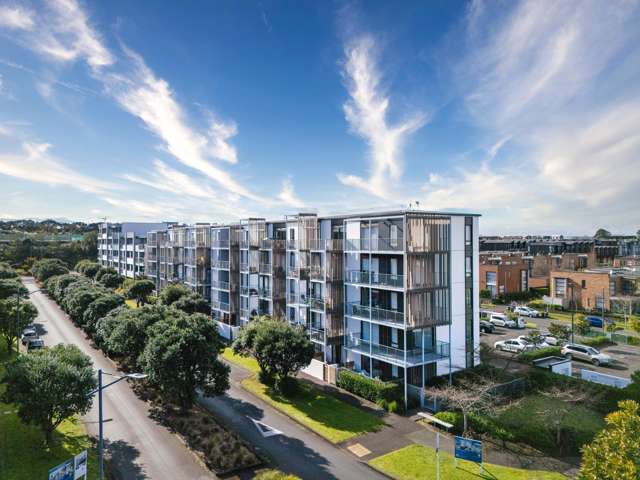 Stonefields Stunner: Below CV!