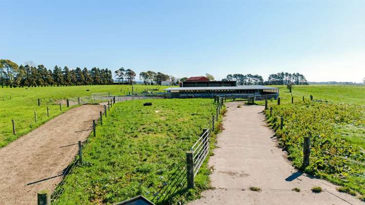 319 Waiau Road Onaero_7