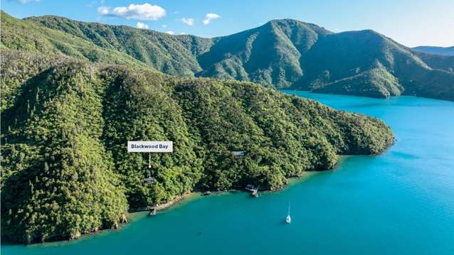 Lot 1 Blackwood Bay Queen Charlotte Sound_1