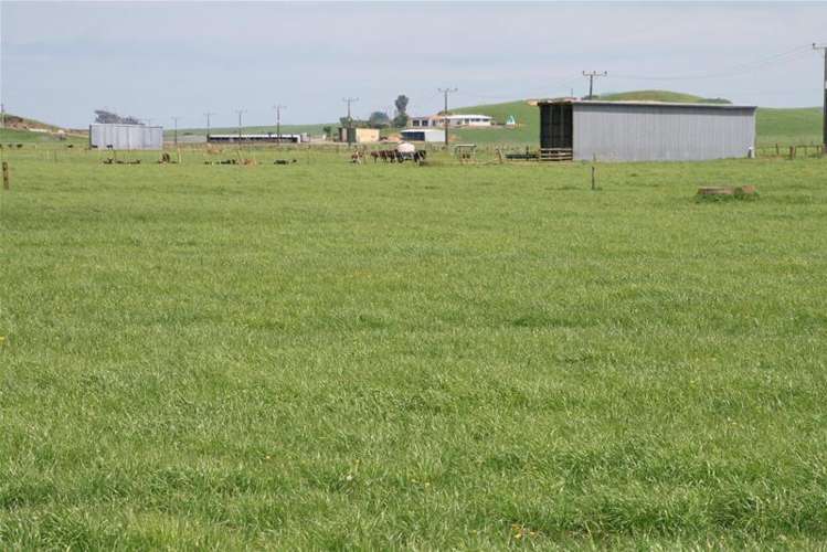 173 Anderson Road Eltham_7