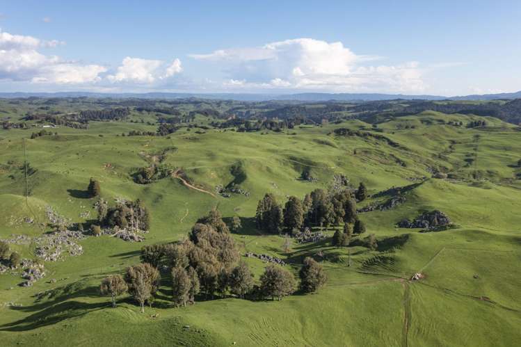 574 Mangaotaki Road Piopio_19