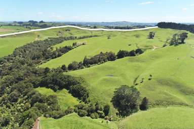 357 Onewhero-Tuakau Bridge Road_4