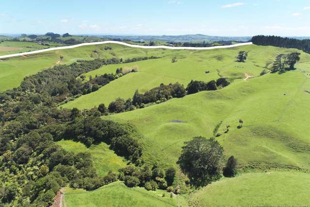 357 Onewhero-Tuakau Bridge Road Onewhero_4