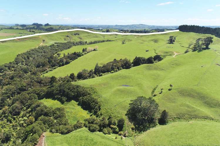 357 Onewhero-Tuakau Bridge Road Onewhero_4