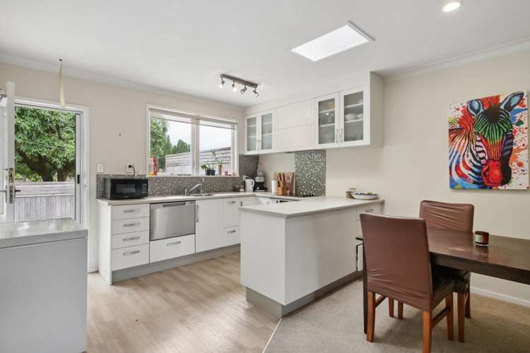 36 Seventeenth Avenue Tauranga South_5