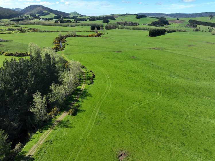 97 Marinui Road Quarry Hills_3