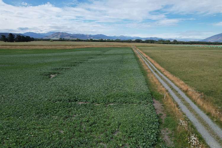 1000 Mossburn Lumsden Highway Mossburn_1