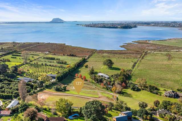137 Lochhead Road Te Puna_3