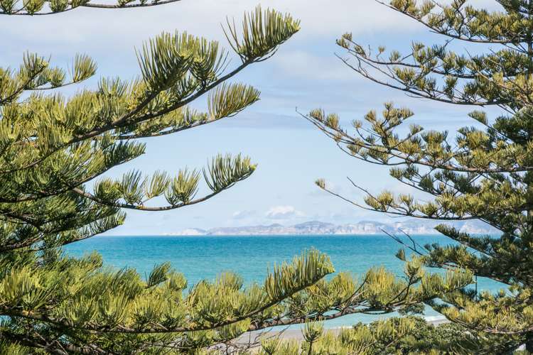 247 Marine Parade Napier South_9