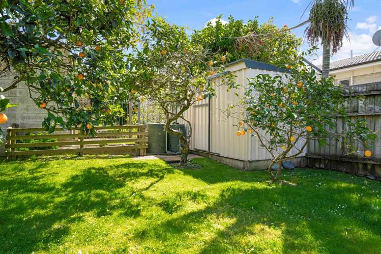 29 Sorrel Crescent Bucklands Beach_41