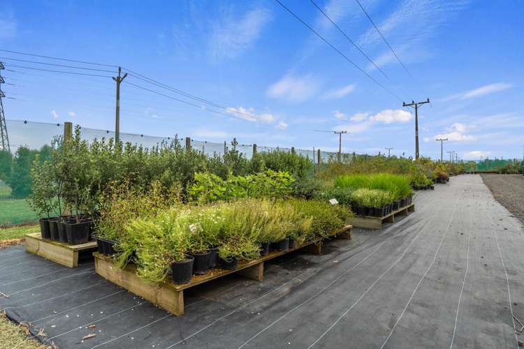 43 Mikkelsen Road Te Aroha_25