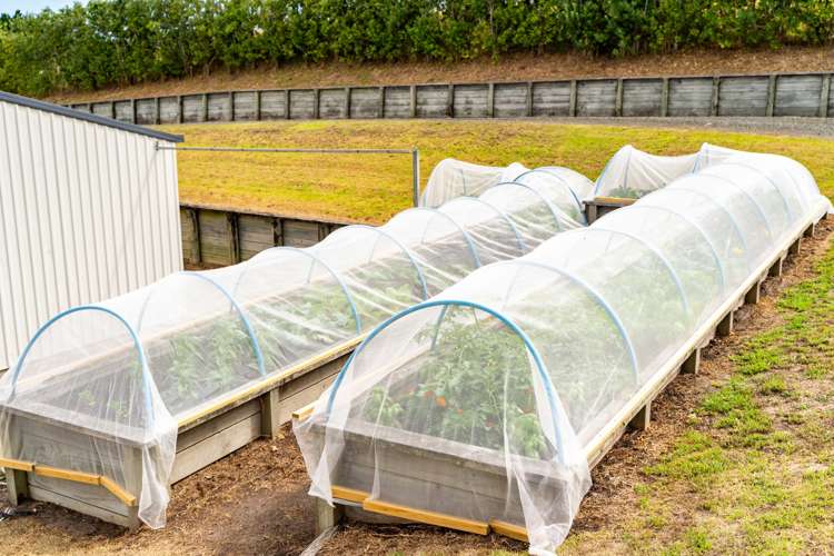 70 Baylys Coast Road Dargaville_27