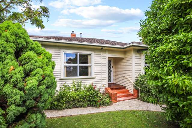 310 Park Road Te Awamutu_3