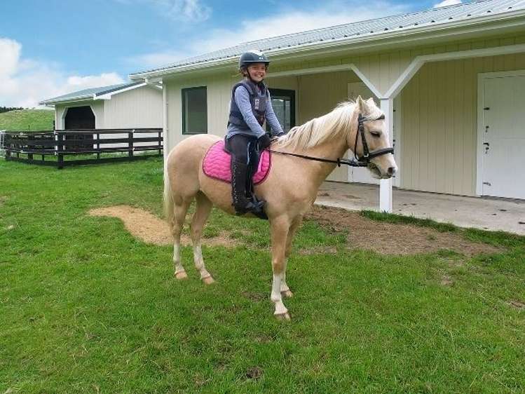 246 Takapu Road Takapu Valley_16