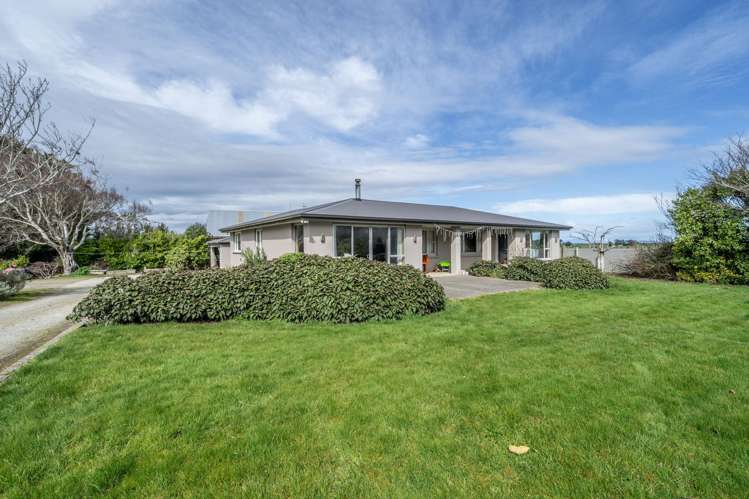 12 Shand Road, Farm 1 Rimu_9