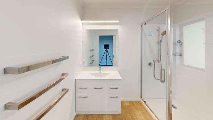 293 Millricks Line Linton_9