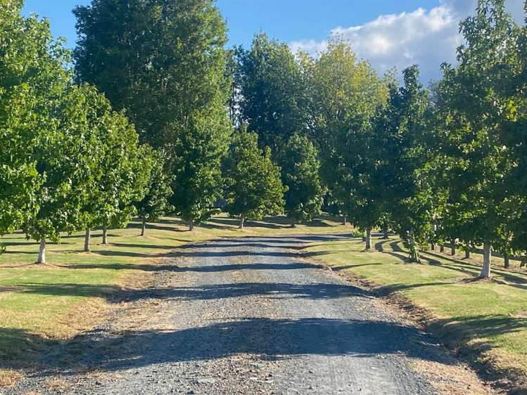 1166 Leigh Road Matakana_9