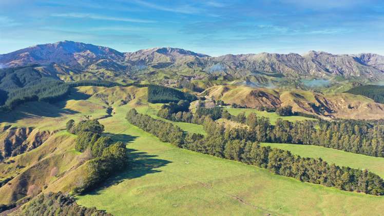 1015 Waitara Road Te Haroto_46