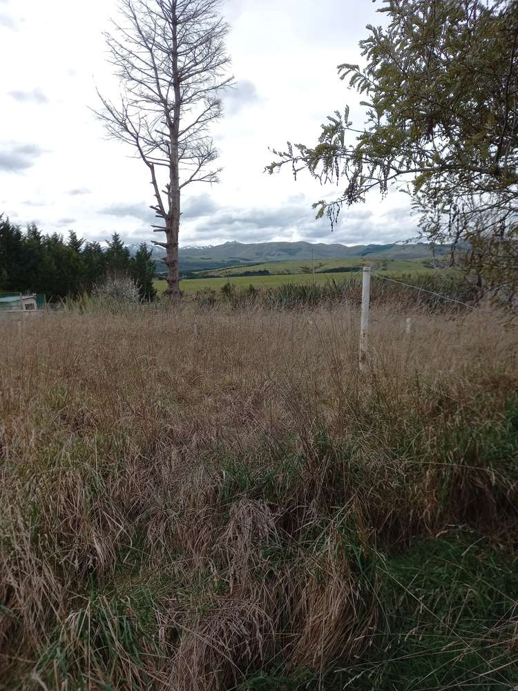 160 Birchwood Road Ohai_7