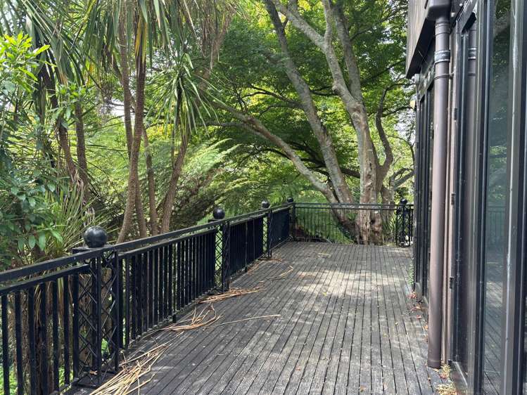 Lower Ground Floor, 20 Alma Street Hamilton Central_3