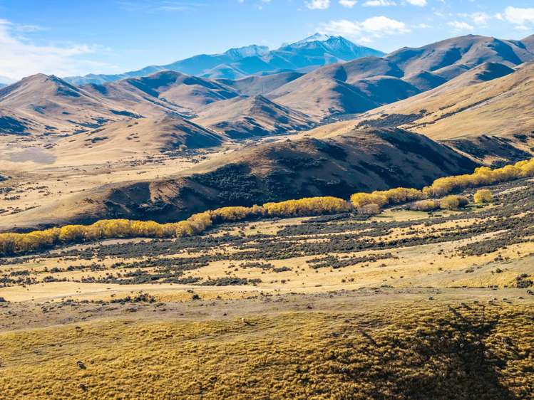 495 Haldon Road Lake Tekapo_33
