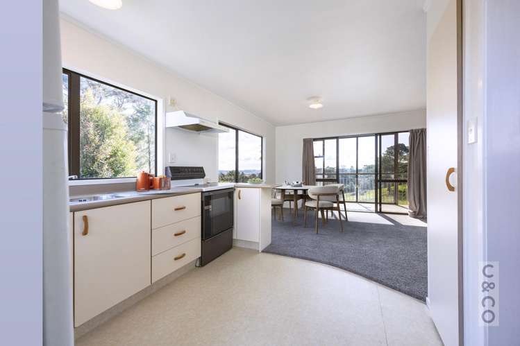 46 Potter Road Dairy Flat_40