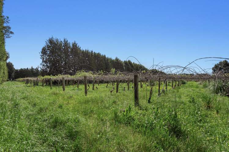 37 Selwyn Road Poroporo_1