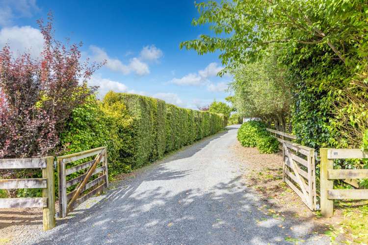 111 Ellis Road Otorohanga_37