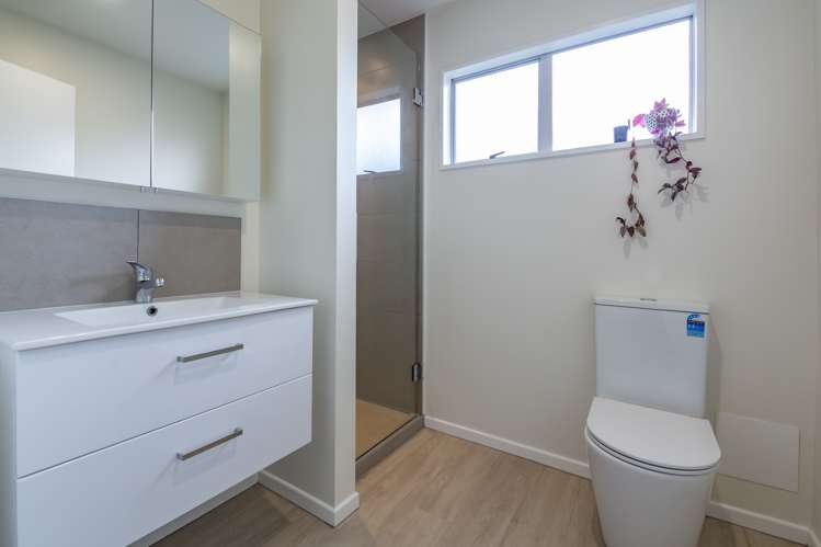 11 Hutcheson Street Sydenham_13