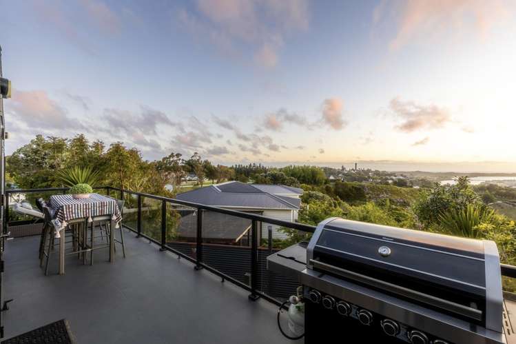 106 Mount View Road Bastia Hill_8