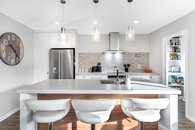 28 Monarch Drive Ashhurst_2