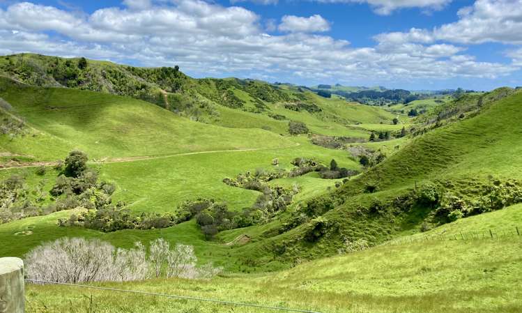 419 Motukawa Road Tarata_20