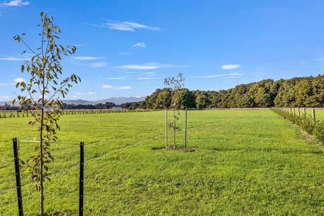 Simply Superior In Sought After Ohau!